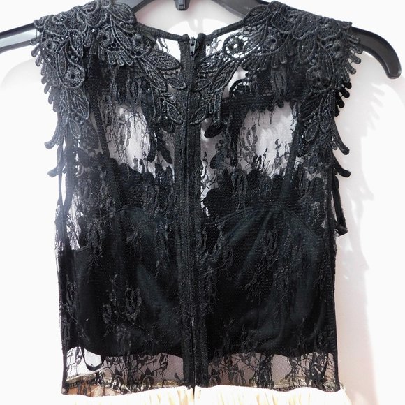 Black and Pink Lace / Tulle Formal Dress - Picture 9 of 9